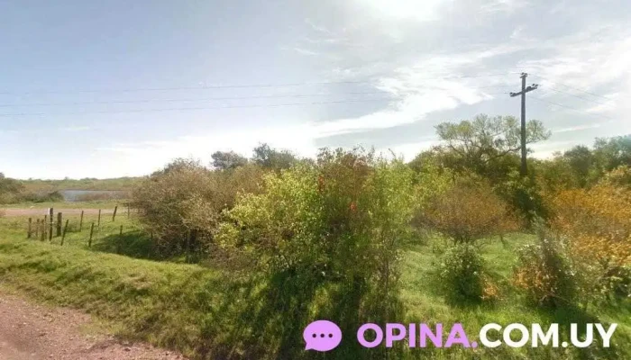 Zona De Camping - Cebollatí