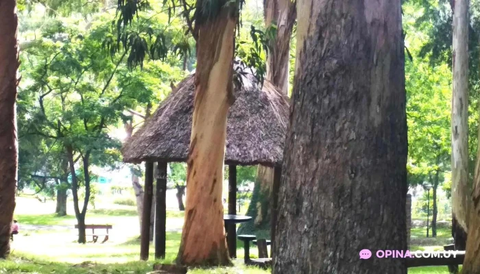 Zona Parrilleros -  Todas - Minas