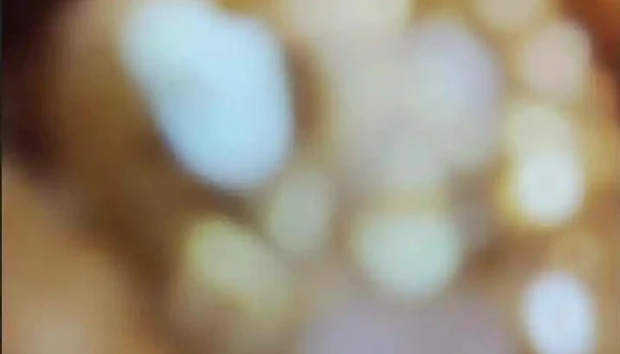 Zona Poke Sushi Wok Videos - Montevideo