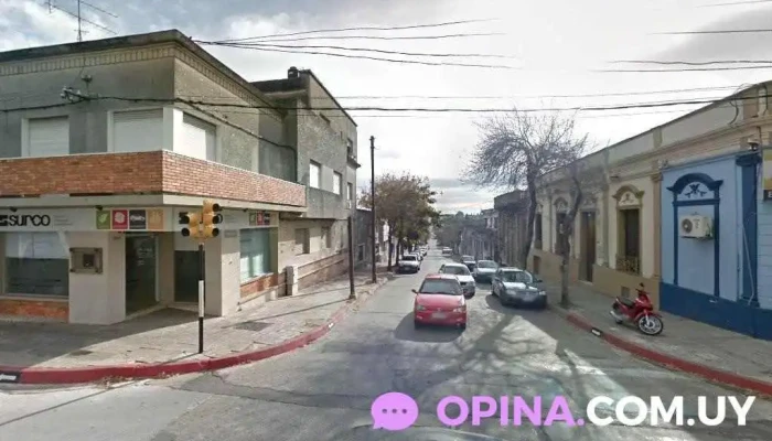 Zorilla y visconde - Paysandú