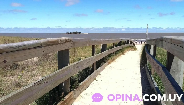 Zulamian -  De Los Visitantes - Montevideo